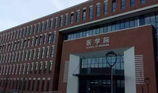 南开大学医学院保研率多少(南开大学医学院排名全国第几) 南开大学医学院保研率多少(南开大学医学院排名全国第几)