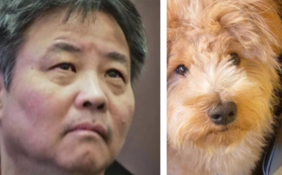 余华回应“潦草小狗”昵称 余华:很可爱，但我换了发型