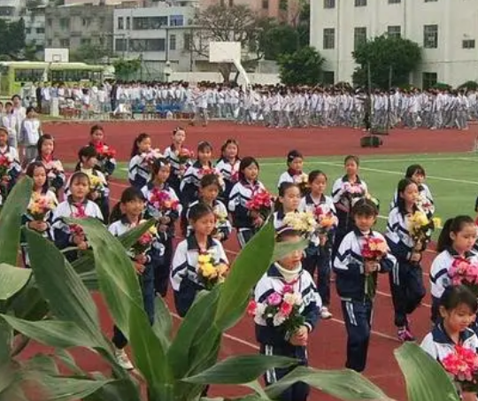樟木头养贤小学是寄宿学校吗 樟木头养贤小学入学条件 樟木头养贤小学是寄宿学校吗 樟木头养贤小学入学条件