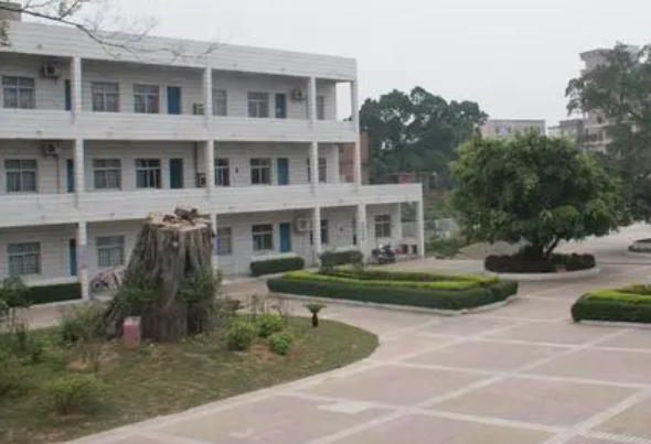 万江滘联小学要搬迁吗 万江滘联小学教学怎么样