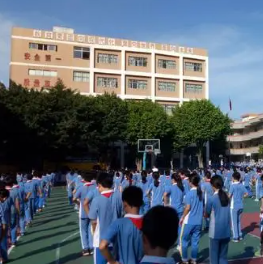 大朗洋洋学校学费多少 大朗洋洋学校难进吗
