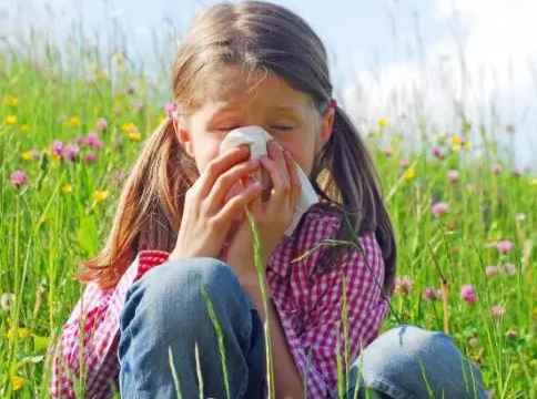 花粉过敏有哪些症状 花粉过敏会引起荨麻疹吗