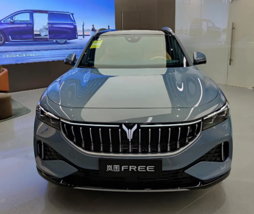 23款新岚图FREE8月上市 新岚图FREE配置有什么变化