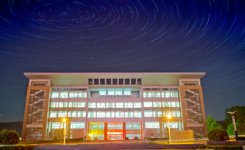 鲁东大学是985还是211 鲁东大学录取分数线2023