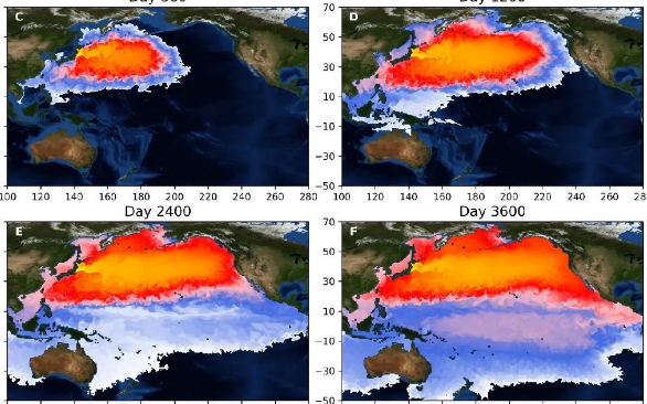 国际原子能机构将持续对福岛核污染水排放进行现场监测和评估