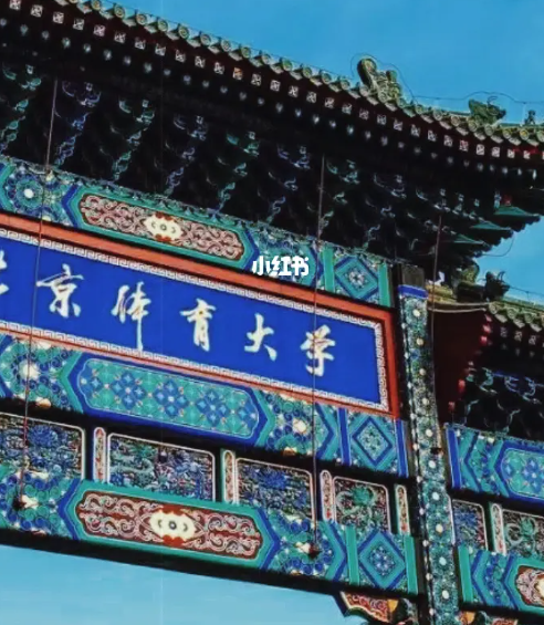 北京体育大学有哪些体育专业 北京体育大学就业前景和收入