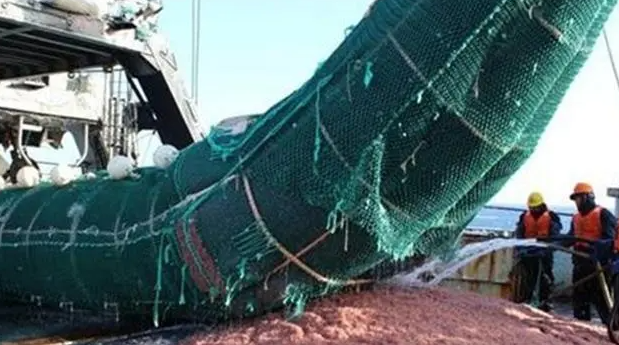 中国在南极意外发现海上粮仓 储量10亿吨可养活14亿人