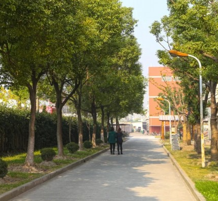 上海震旦职业学院怎么样 上海震旦职业学院专升本难吗
