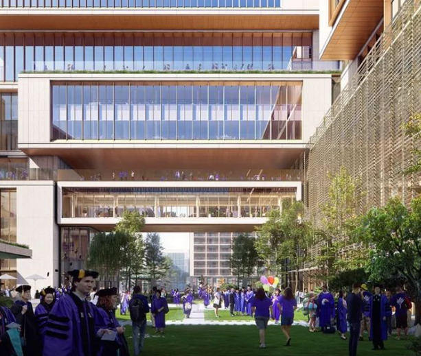 上海纽约大学怎么申请 上海纽约大学的入学条件