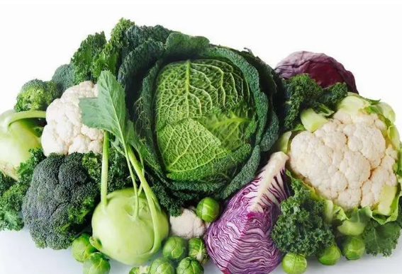 秋季清肺应该多吃哪些食物 有清肺养肺功效的食物有哪些