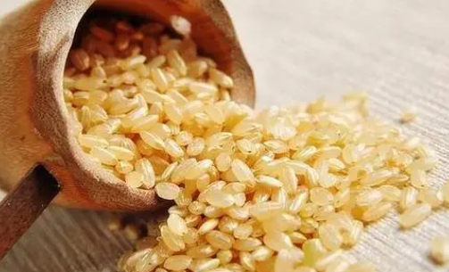 糙米不泡可以直接煮饭吗 糙米包含哪些米