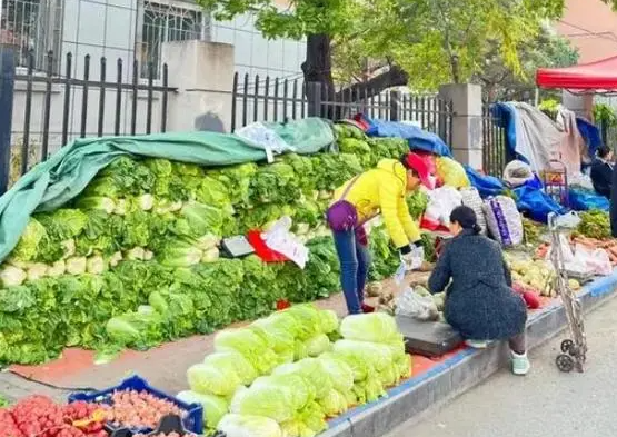 沉浸式围观东北传统囤秋菜 东北人专属的入冬仪式