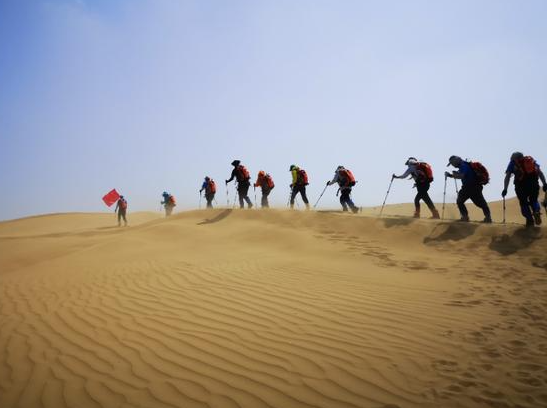 沙漠不是死寂无声的 让我们一起探寻沙漠的奥秘 沙漠不是死寂无声的 让我们一起探寻沙漠的奥秘