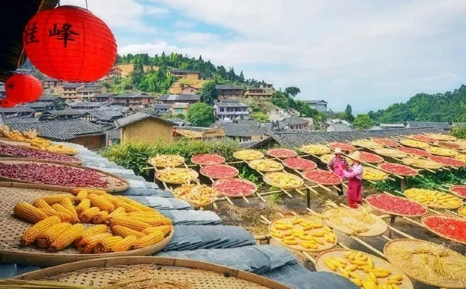 长三角互助式秋游风靡 金色系秋食走俏