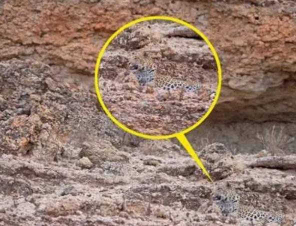 中国科学院院士演示隐身术 利用特殊材料实现隐身