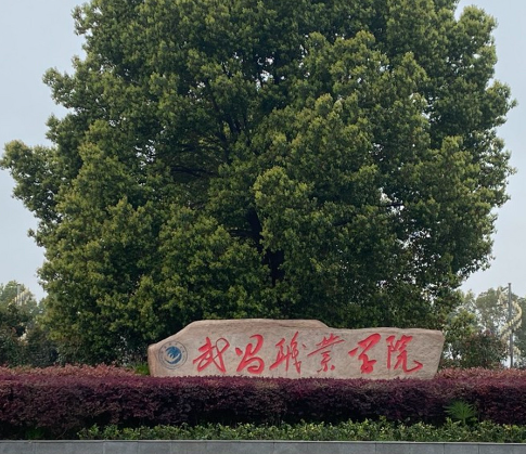 武昌职业学院怎么样 武昌职业学院毕业后去哪里