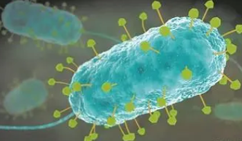 超越传统抗生素 打造对付超级细菌的武器库