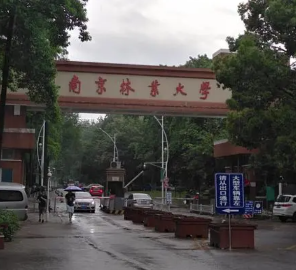 南京林业大学是一本吗 南京林业大学全国排名多少