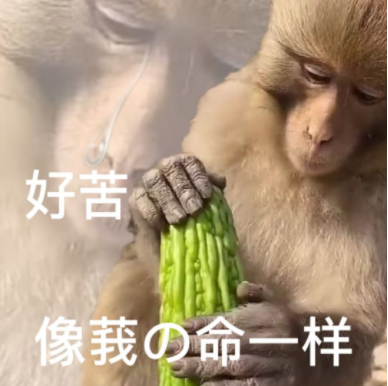 “吗喽”占领了年轻人的生活圈 吗喽成为新宠社交符号