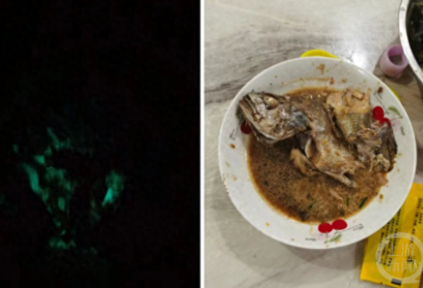大妈买海鱼红烧后半夜发绿光 可能是保存时感染了发光菌类