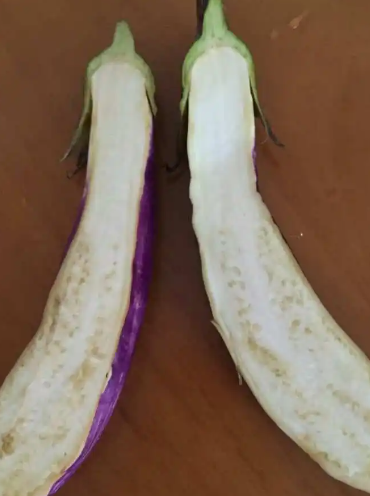 茄子里边发黄是不是坏了 茄子变色之谜