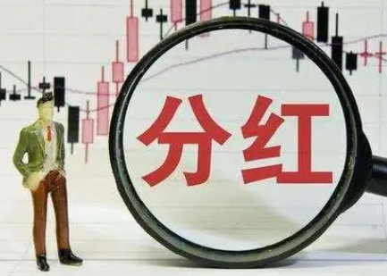 A股股票为什么不记名 不记名股怎么分红