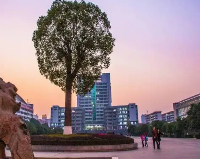 南华大学属于什么档次 南华大学是985还是211