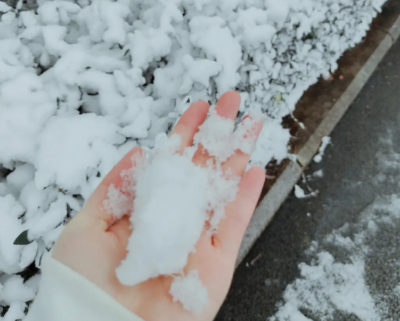 冬天降雪能冻死流感病毒?流感季感染者是否会因下雪而减少? 冬天降雪能冻死流感病毒?流感季感染者是否会因下雪而减少?