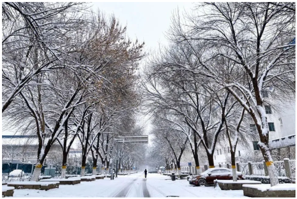 北京冬雪中：邂逅那台加洛韦绿的路特斯Eletre