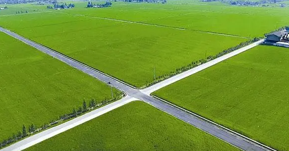 高标准农田绘就好丰景 用科技助力耕地肥力恢复和地力提升