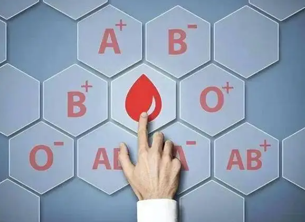 血型决定寿命长短?2024年研究发现这种血型不易患病更长寿!