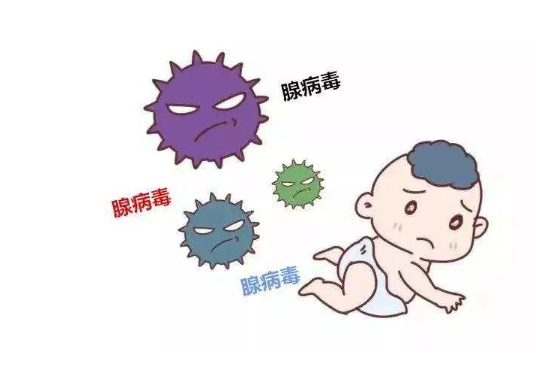 高热不退腺病毒感染尚无特效药 腺病毒是引起儿童呼吸道感染的常见病毒