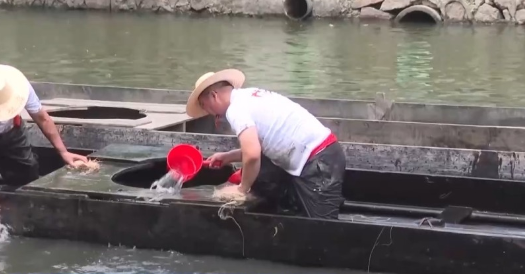 盐步老龙是全国现存最古老龙舟 盐步老龙是拥有592年历史的龙舟