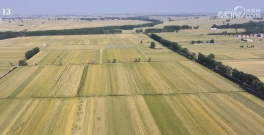 多措并举确保夏粮颗粒归仓 河南计划投入农机400万台以上