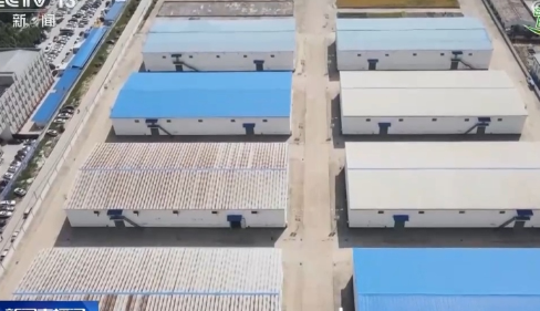 多措并举确保夏粮颗粒归仓 河南计划投入农机400万台以上