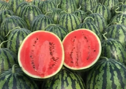 西瓜低至几毛钱一斤还得继续跌?6月西瓜正大量上市 西瓜低至几毛钱一斤还得继续跌?6月西瓜正大量上市