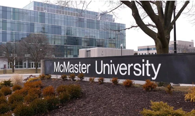 麦克马斯特大学2024热门专业排名 麦克马斯特大学2024年留学生招生政策