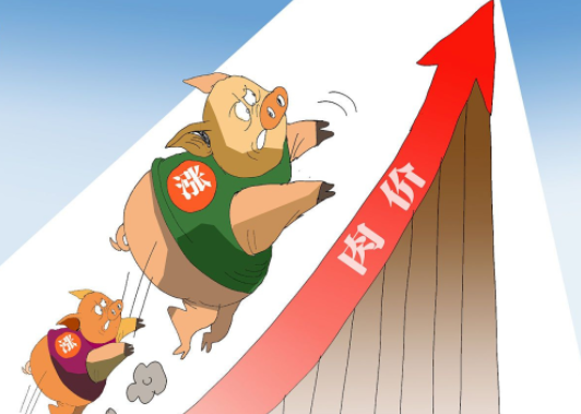 猪价有望趋势性上涨 猪价直冲18元7月或延续小涨模式