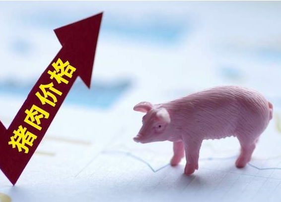 猪价有望趋势性上涨 猪价直冲18元7月或延续小涨模式