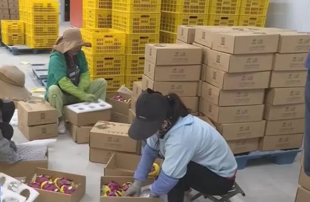 6月中国物流业景气指数为51.6% 连续4个月保持扩张