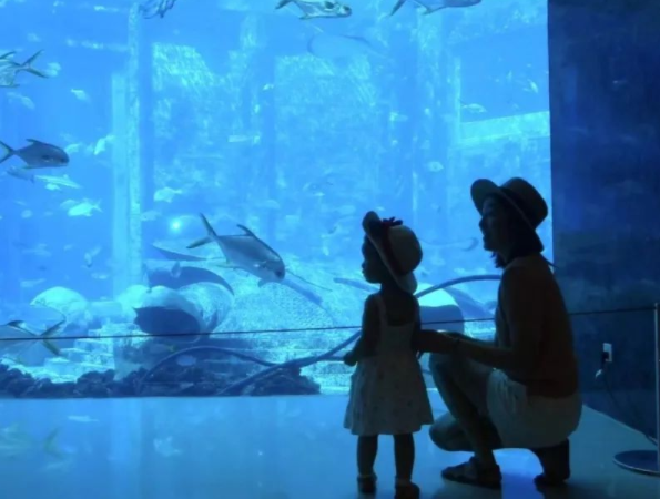 海南三亚五星酒店暑期价格雪崩?行业协会接连发声