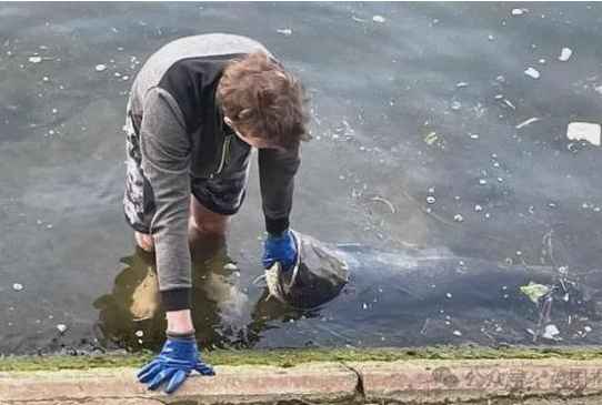 塞纳河水质最近不适宜下水比赛 细菌含量超标或致铁人三项取消游泳