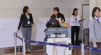 张本智和回国遭暴击没鲜花零奖金 日乒一姐获奖400万日元 张本智和回国遭暴击没鲜花零奖金 日乒一姐获奖400万日元