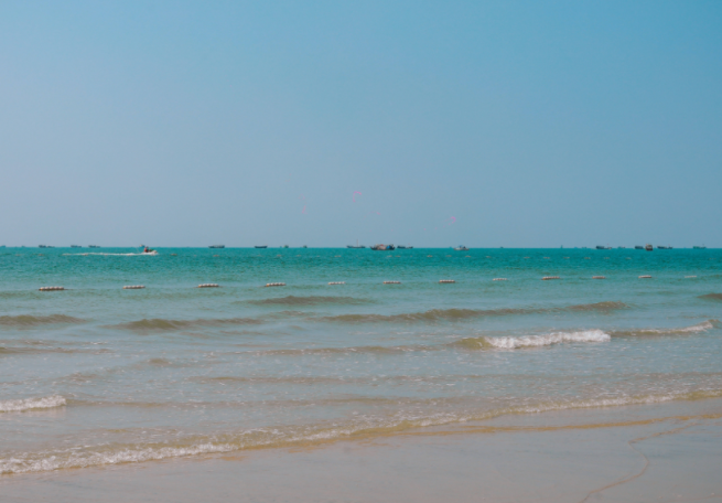 北海一浴场突发不明鱼类伤人事件 被鱼咬伤要打狂犬病疫苗吗？