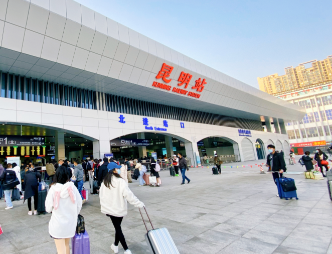 昆明车站外多条绿蛇在垃圾箱上爬行 城市里遇到蛇怎么办？