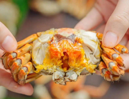 阳澄湖大闸蟹可能推迟上市 预计将于9月底成熟上市 阳澄湖大闸蟹可能推迟上市 预计将于9月底成熟上市