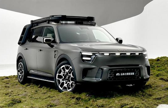 轴距2900mm/800V平台 smart精灵#5将于9月20日预售
