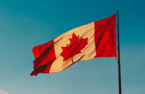 加拿大考虑扩大对华加征关税范围