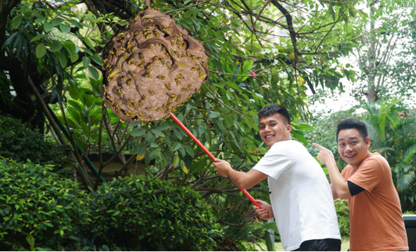 安徽一男子由于兴趣爱好掏马蜂窝，被蛰到昏迷在30多米高的树上