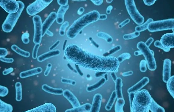 女童吃冷藏水果后大脑感染高烧不退 冰箱冷藏并不等于安全